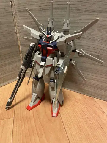1/100 레전드 정크 완성품