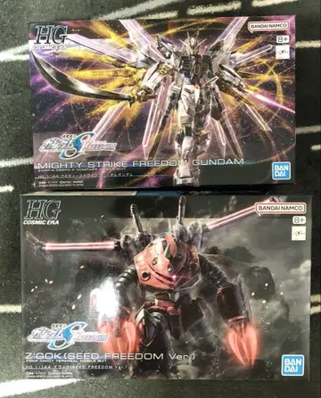 HG 마이티 스트라이크 프리덤 건담 즈고크