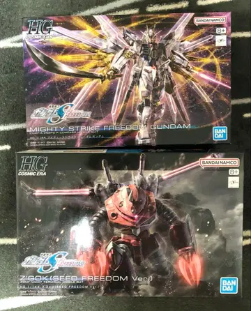 HG 마이티 스트라이크 프리덤 건담 즈고크