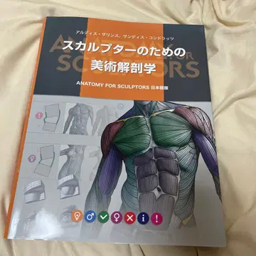 스컬프터를 위한 미술 해부학 아트 디자이너 크리에이터