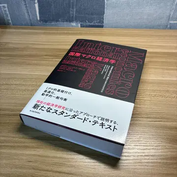 국제 거시경제학