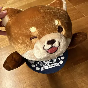 충견 모치시바