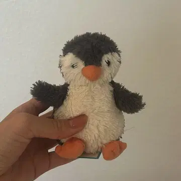 제리캣 jellycat 피넛 펭귄 S