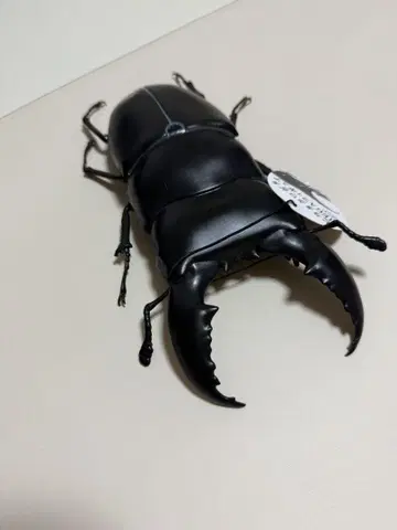 비 사슴벌레 MEGA 피규어