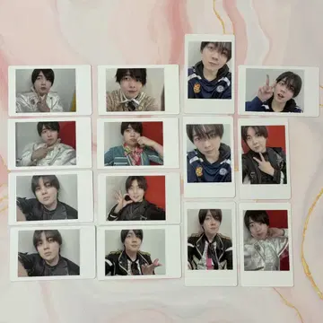 팬더드래곤 나기 하피카 14장