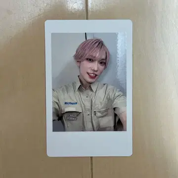팬더드래곤 파라곤 타이거