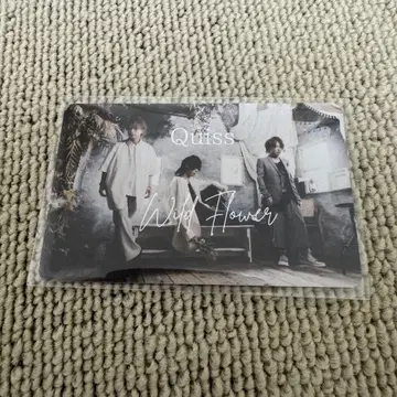 Quiss the 12012 Wild Flower juri YOMI 준