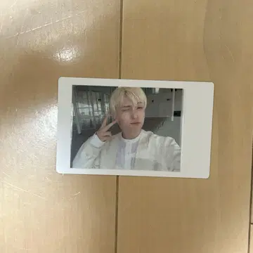팬더드래곤 파라곤 요우타