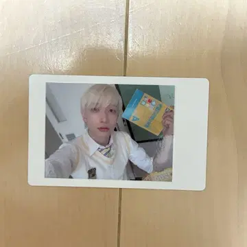팬더드래곤 파라곤 요우타
