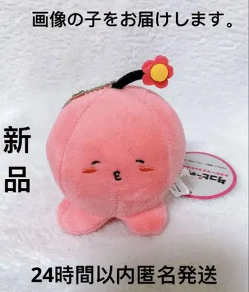 타코피의 원죄 타코피 봉제 인형 마스코트 해피 꽃