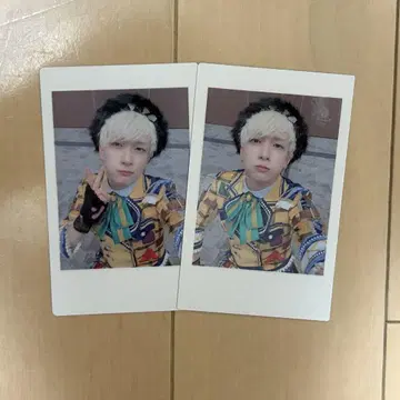 팬더드래곤 파라곤 요우타