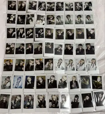 [ 전뇌히메카 ] 독아메노 폴라로이드 176장