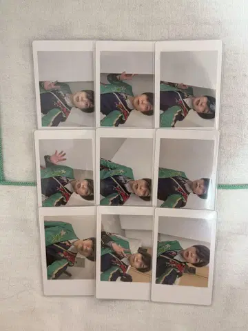 팬더 드래곤 파라곤 아즈 하피카 폴라로이드 굿즈