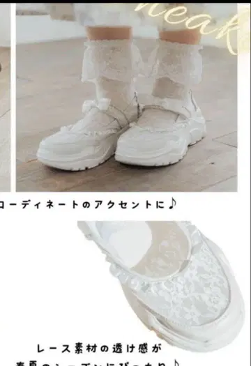 아오키 미사코 시마무라