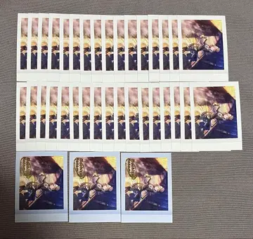 프로세카 6B 파샤코레 금박 모치즈키 호나미