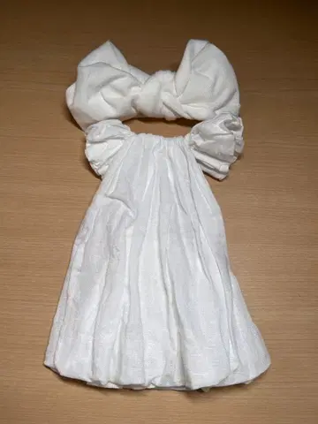 브라이스 아웃핏