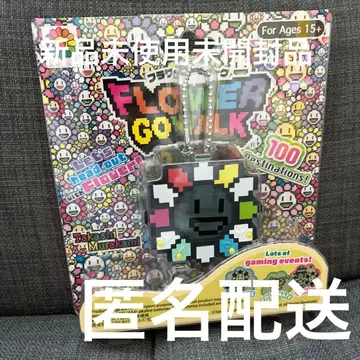 FLOWER GO WALK RAINBOW 플라워 고 워크