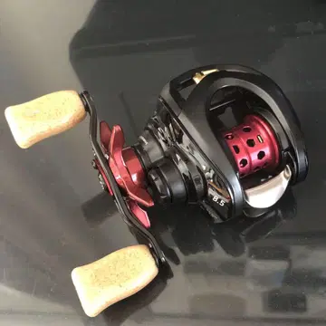 ssair TW 8.5