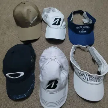 캡과 바이저 세트