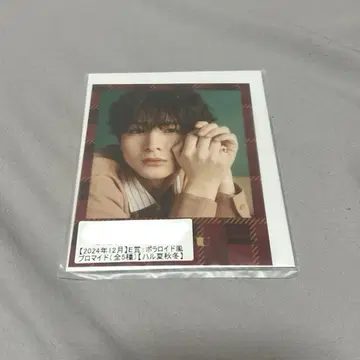 초특급 하루 키라리 스크래치