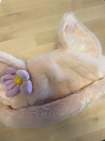 리나벨 팬캡