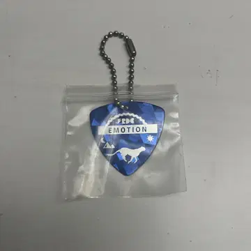 프레데릭 피크 키링