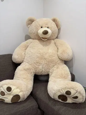 코스트코 베이지 곰 약 150cm 미만