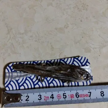 오비 고정 띠