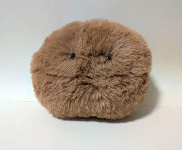 공상 아파트 커피콩