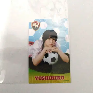 하프 브로마이드 아라마키 요시히코 밤 복권
