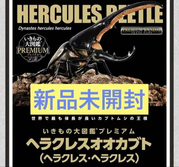생물대도감 프리미엄 헤라클레스 장수풍뎅이 헤라클레스 헤라클레스
