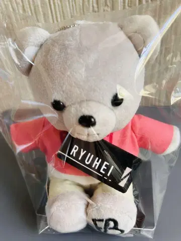 BE:FIRST [ RYUHEI ] 곰 봉제 인형 Bye-Good-Bye