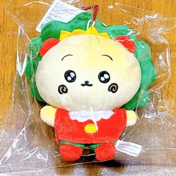 체고심 x 코지코지 POP UP 콜라보 마스코트 팝업 한정판