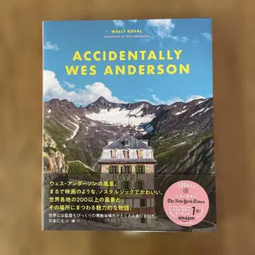 ACCIDENTALLY WES ANDERSON