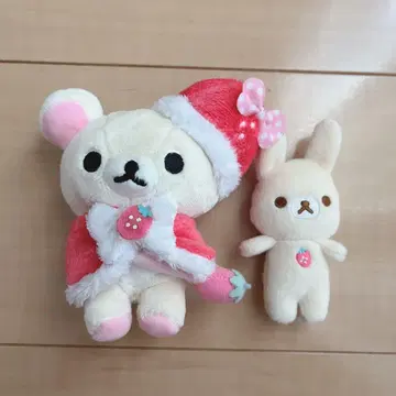 코리락쿠마