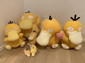 코닥 봉제 인형 세트 묶음 판매
