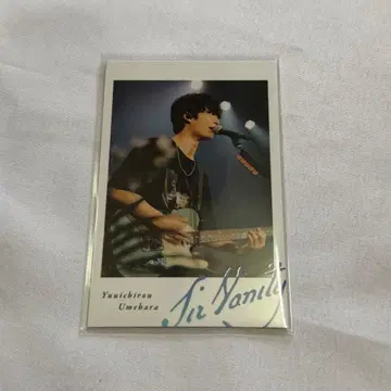 Sir Vanity 우메하라 유이치로 폴라로이드