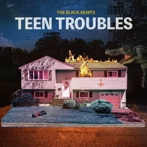 검정치마 TEEN TROUBLES 미개봉 LP 교환 > 잔나비 전설 LP