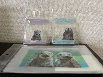 도바 수족관 메이 키라 랏코 아크릴 키링 투명 파우치 세트