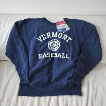 챔피온 리버스 위브 맨투맨 트레이닝복 그린 택