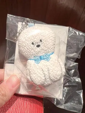 페이러 모후모후 완찬