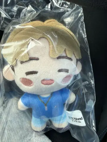 BTS Island 마스코트 참 지민 JIMIN 인더섬