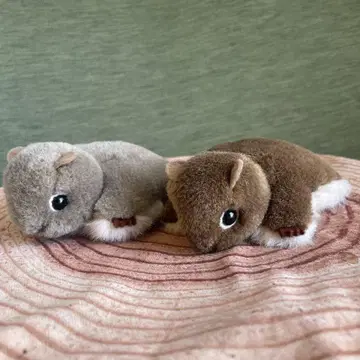 야마네 공방 에조 모몽가 혼슈 모몽가 세트