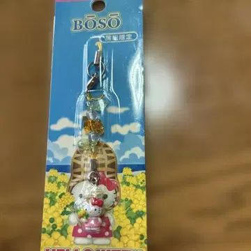 지역 한정 키티 보소 한정 피넛