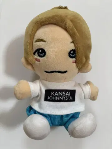 마사카도 요시노리 군 치비누이