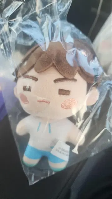 BTS 시마무라 마스코트 컬렉션 SUGA