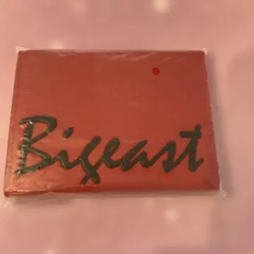 Bigeast 여권 케이스 ANXV-2859