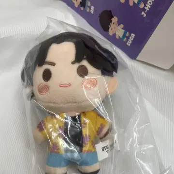 BTS jungkook 봉제 인형 약 20cm 미개봉 인더섬