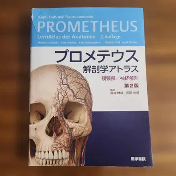 프로메테우스 해부학 아틀라스 두경부/신경해부