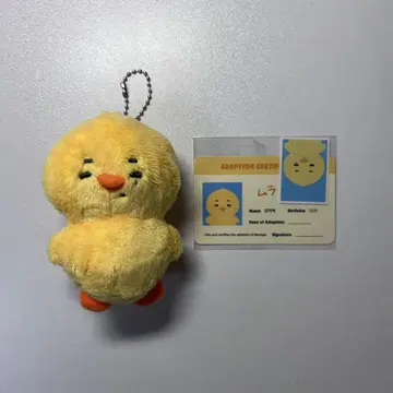 ENHYPEN 니키 무라피 10cm 봉제 인형